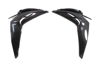 Kawasaki Z1000 große Seitenteile Carbon