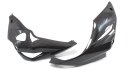 Kawasaki Z1000 Bugspoiler Carbon