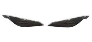 Mercedes Benz SLK R172 Scheinwerfercover Carbon