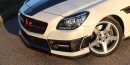Mercedes Benz SLK R172 Scheinwerfercover Carbon