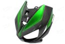 Kawasaki Z1000 Frontverkleidung schwarz-grün Carbon