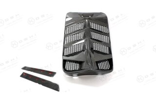 Harley Davidson V-ROD zentraler Kühlerrahmen Carbon