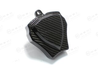 Harley Davidson V-ROD Horngehäuse Carbon
