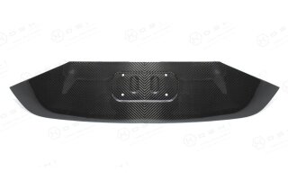 Alfa Romeo Giulia Koshi Kennzeichenhalter Carbon