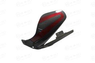 Ducati Panigale V4 S Kotflügel hinten Freccia Carbon