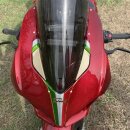 Ducati Panigale V4 S Abdeckung für Spiegelhalterung...