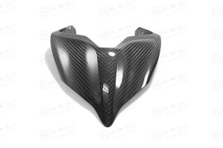 Ducati Panigale V4 S Einzelsitzabdeckung Carbon