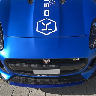 Jaguar F-Type Zentrallippe Carbon