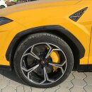 Lamborghini Urus Radläufe Cover Carbon