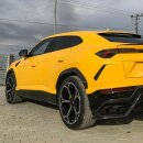 Lamborghini Urus Radläufe Cover Carbon