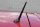 Alfa Romeo Giulietta MiTo Antenne Cover Carbon